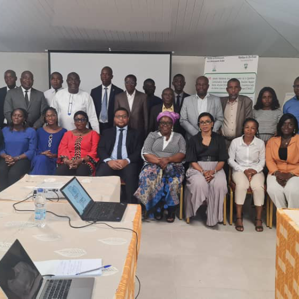 Atelier de renforcement de capacités des GET sur la Théorie du Changement et du Système national MNV
