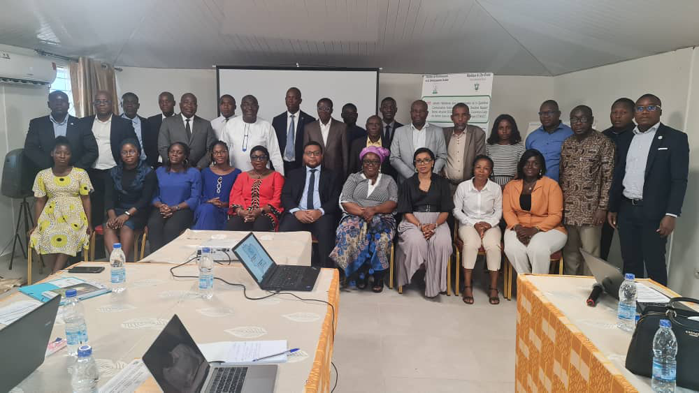 Atelier de renforcement de capacités des GET sur la Théorie du Changement et du Système national MNV